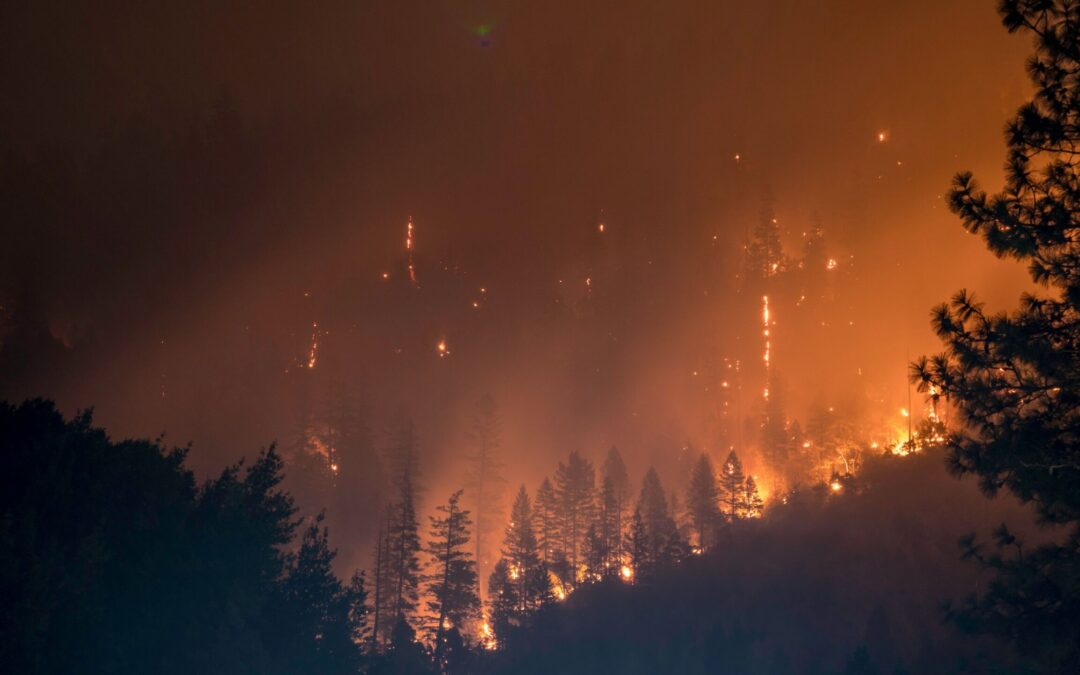 Risikoanalyse Wald- und Vegetationsbrände: Grundlage für effektive Einsatzplanung
